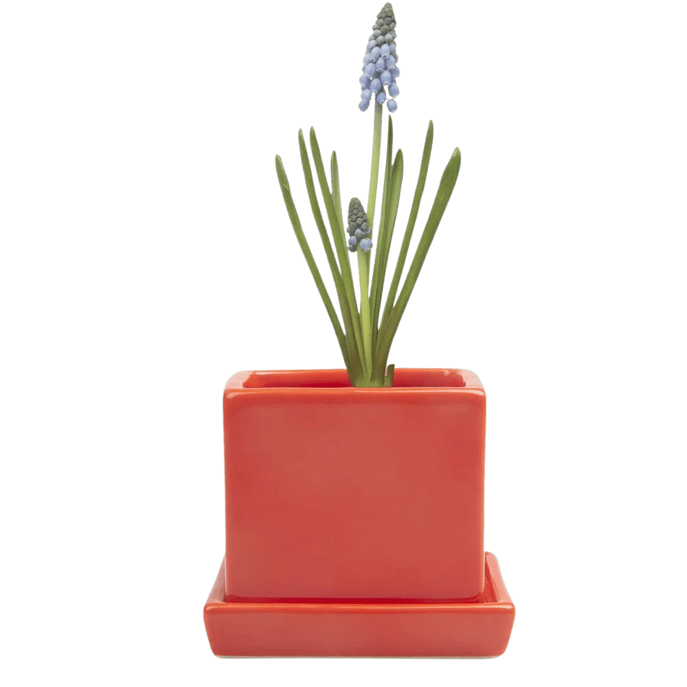 Cube & Saucer Ceramic Pot With Drainage Hole - Chive Ceramics Studio - Pots - Chive Ceramics Studio