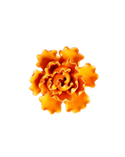 Ceramic Flower Sea Lettuce - Chive Ceramics Studio - Ceramic Flowers - Chive US Wholesale