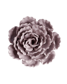 Ceramic Flower Sea Lettuce - Chive Ceramics Studio - Ceramic Flowers - Chive US Wholesale