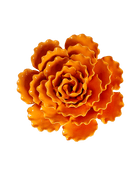 Ceramic Flower Sea Lettuce - Chive Ceramics Studio - Ceramic Flowers - Chive US Wholesale