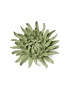 Ceramic Flower - Flower Green 12 - Chive Ceramics Studio - Ceramic Flowers - Chive US