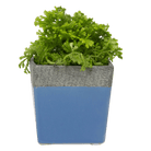 Chive Duo cornflower blue ceramic pot with drainage and saucer styled with a plant.