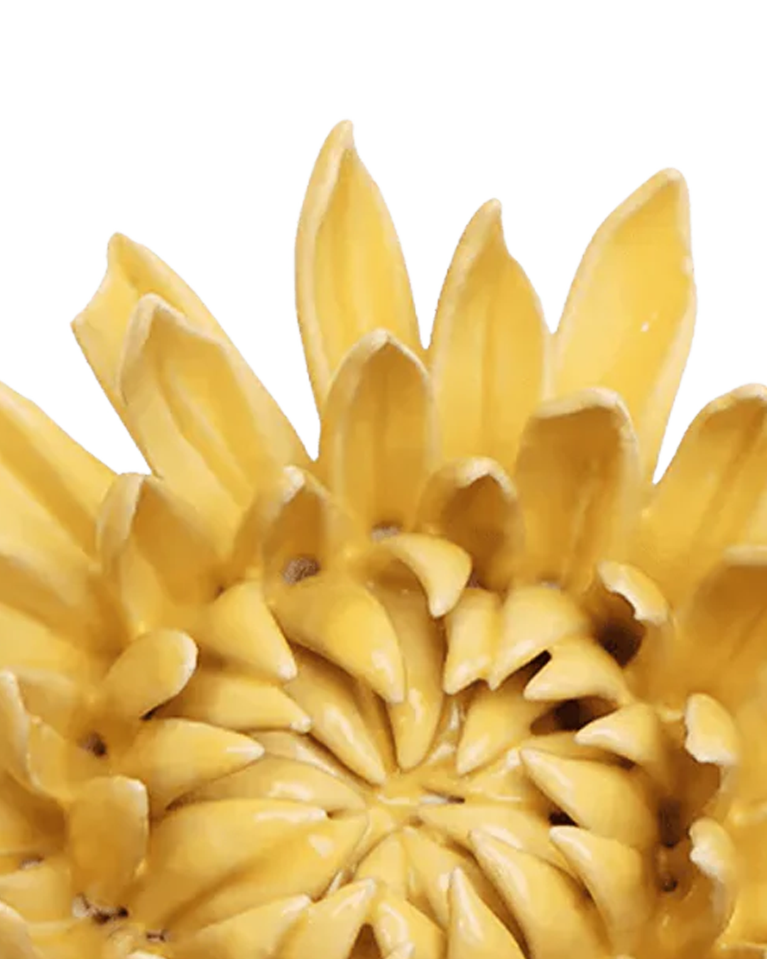 Close-up detail of handmade ceramic buttercup yellow chrysanthemum flower petals individually shaped by artisan, Chive ceramics Toronto, no molds used