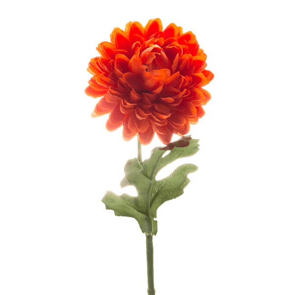 DAO195-1_grande.png?v=1740579009