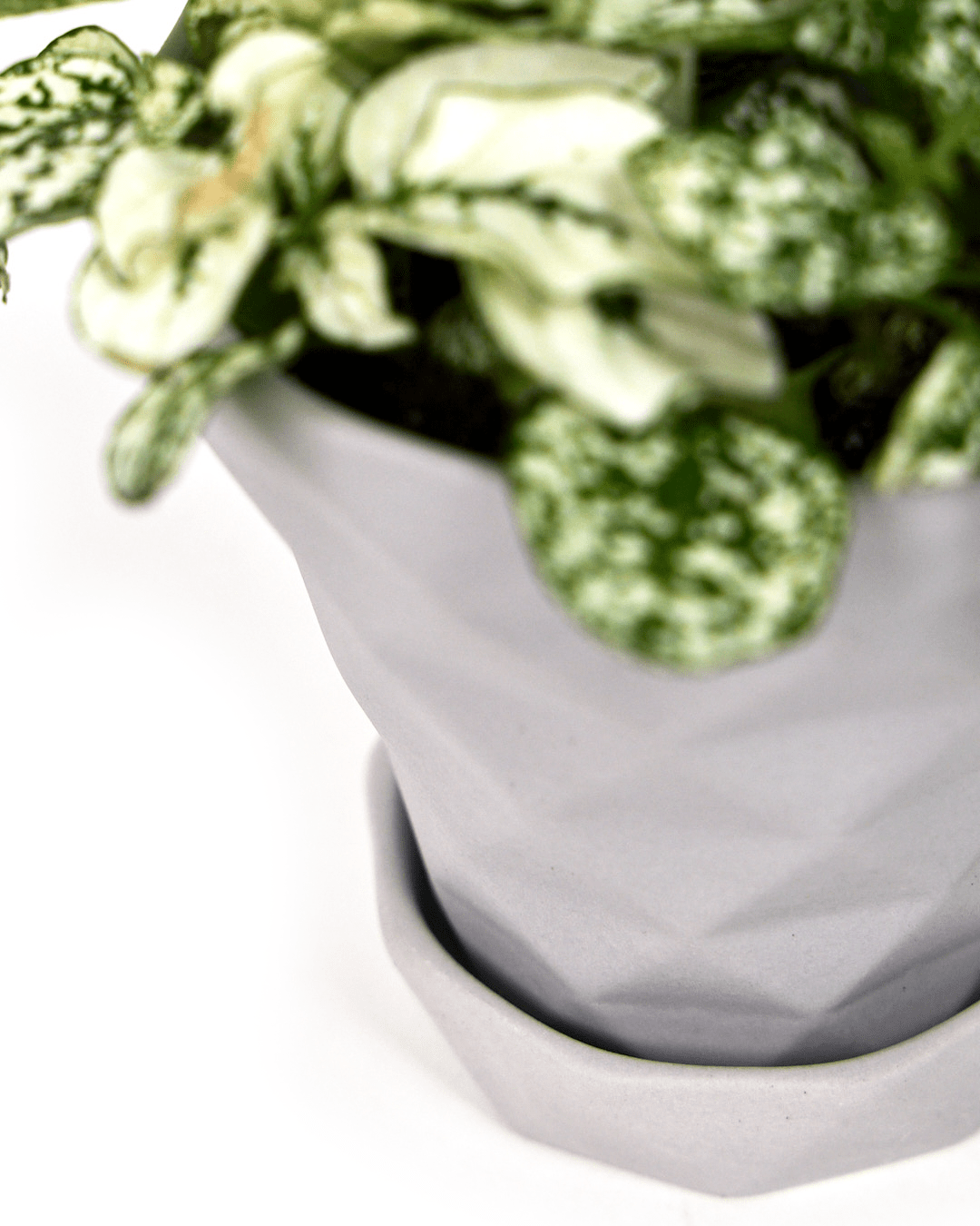 Diamond Porcelain Modern Indoor Plant Pot With Saucer - Chive Ceramics Studio - Pots - Chive US