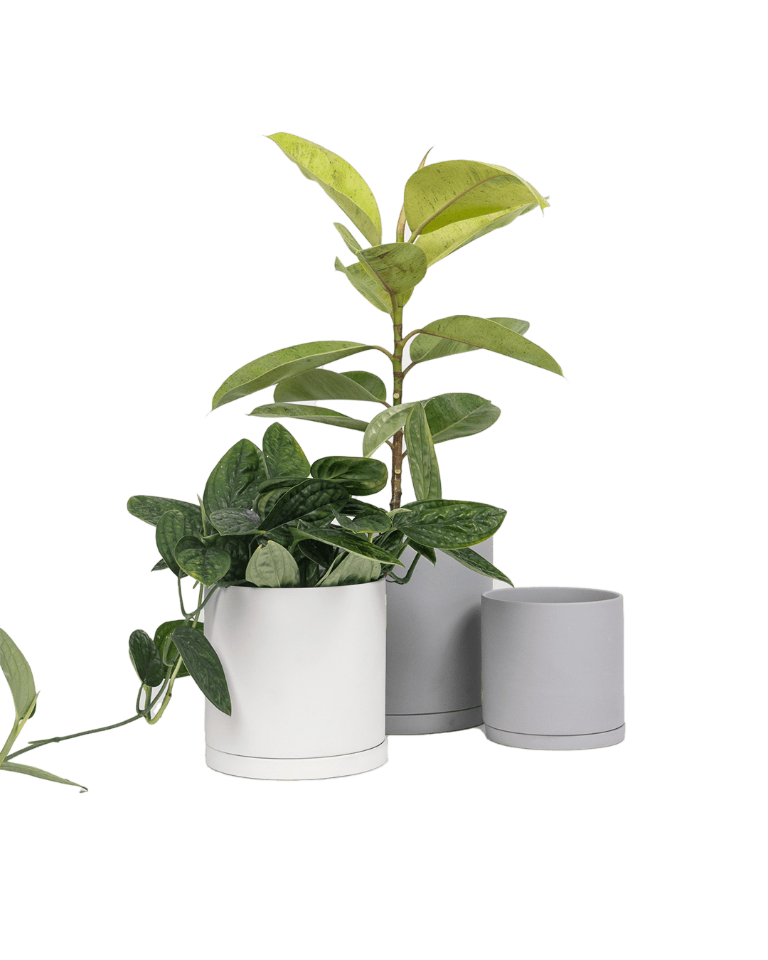 Dojo Porcelain Modern Indoor Plant Pot With Saucer - Chive Ceramics Studio - Pots - Chive Ceramics Studio