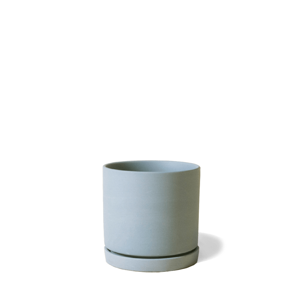 Dojo Porcelain Modern Indoor Plant Pot With Saucer - Chive Ceramics Studio - Pots - Chive Ceramics Studio