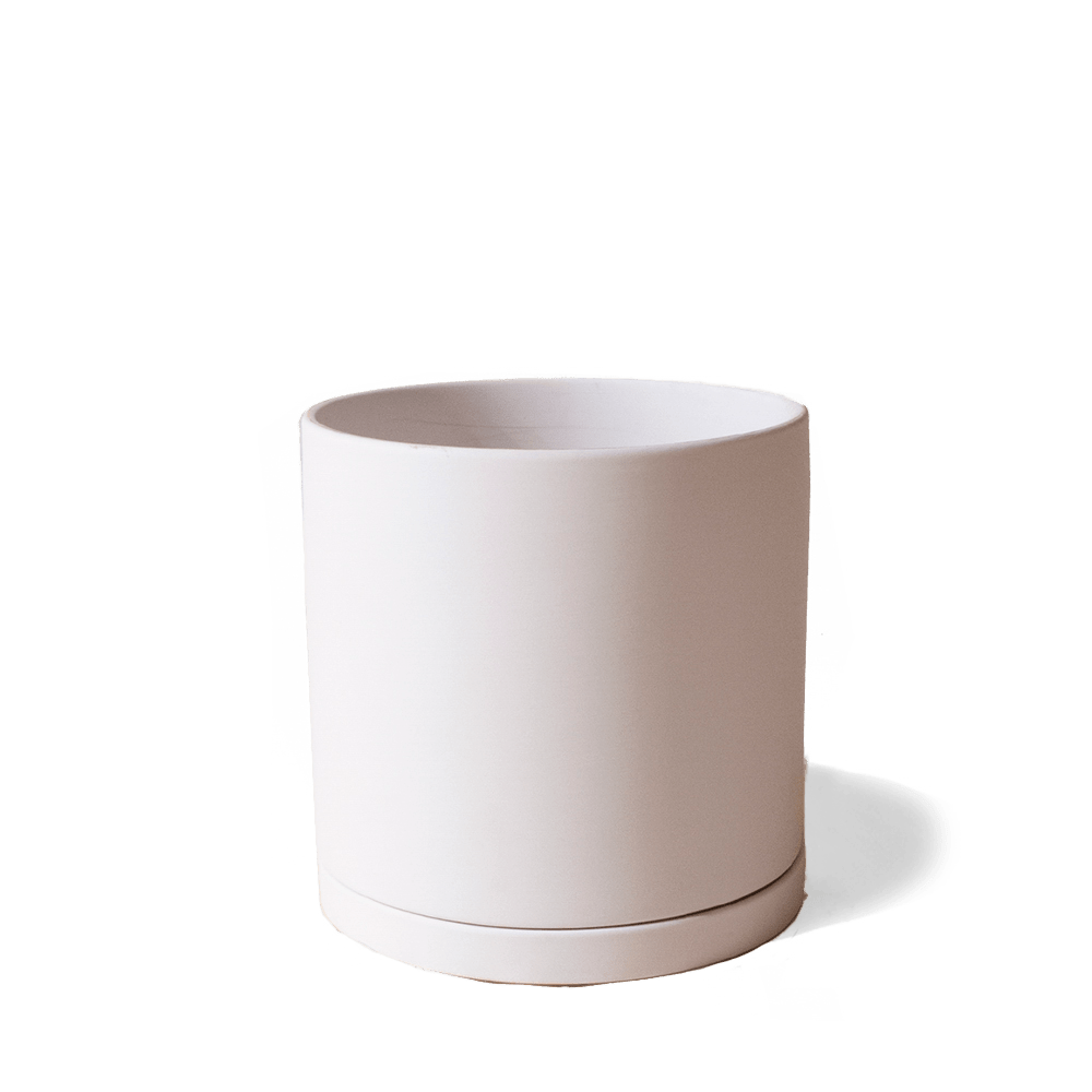 Dojo Porcelain Modern Indoor Plant Pot With Saucer - Chive Ceramics Studio - Pots - Chive Ceramics Studio