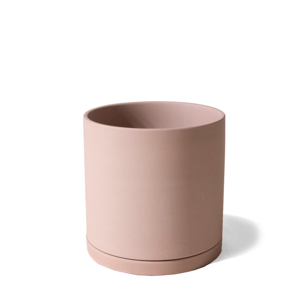 Dojo Porcelain Modern Indoor Plant Pot With Saucer - Chive Ceramics Studio - Pots - Chive Ceramics Studio