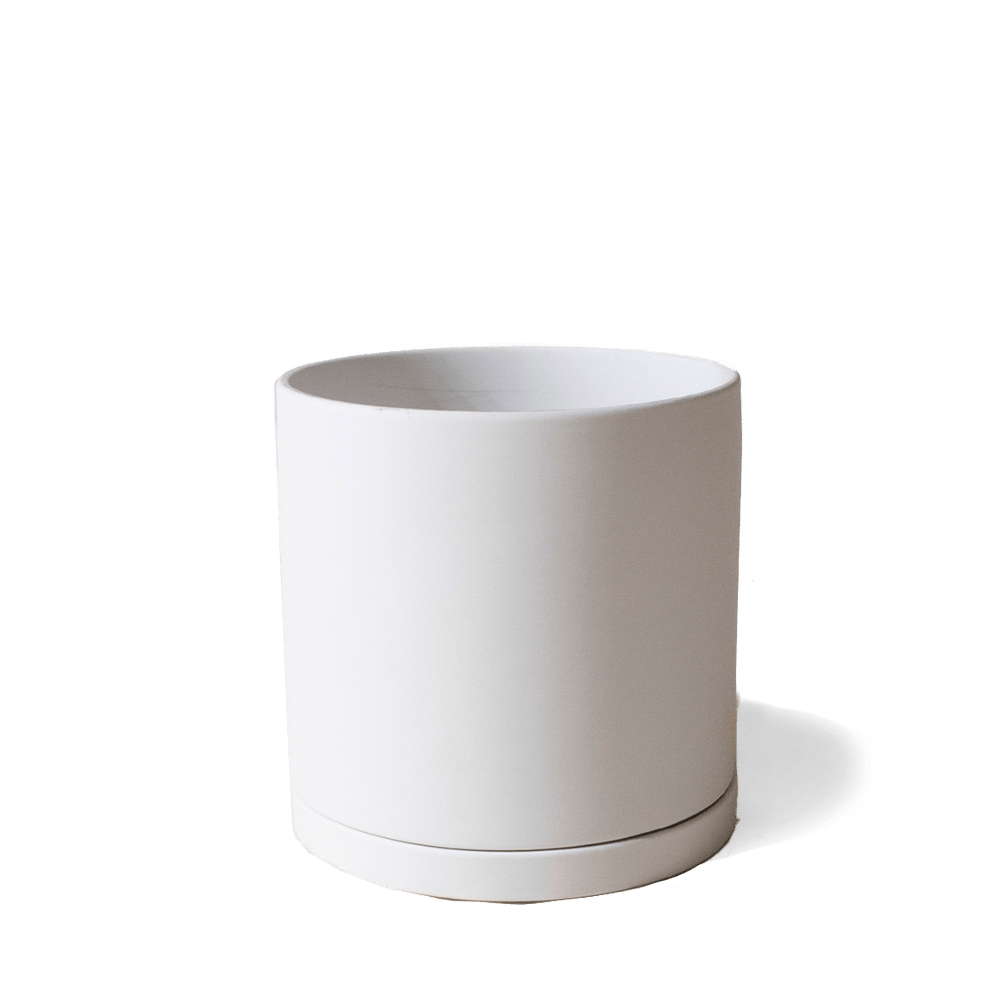 Dojo Porcelain Modern Indoor Plant Pot With Saucer - Chive Ceramics Studio - Pots - Chive Ceramics Studio