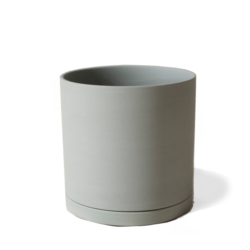 Dojo Porcelain Modern Indoor Plant Pot With Saucer - Chive Ceramics Studio - Pots - Chive Ceramics Studio