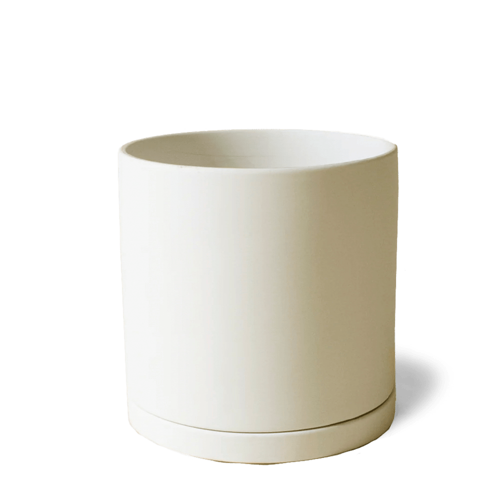 Dojo Porcelain Modern Indoor Plant Pot With Saucer - Chive Ceramics Studio - Pots - Chive Ceramics Studio