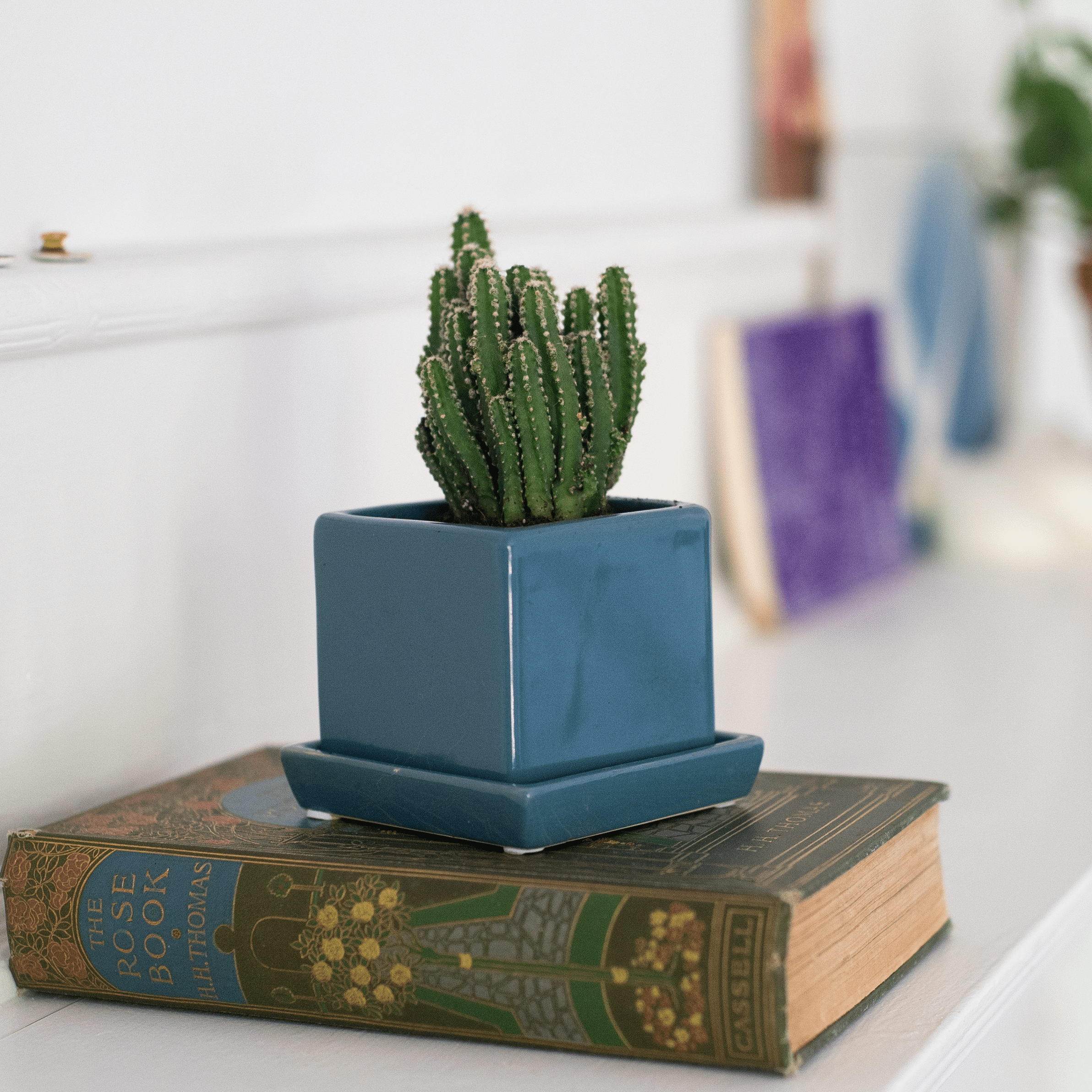 Cube & Saucer Ceramic Pot With Drainage Hole - Chive Ceramics Studio - Pots - Chive Ceramics Studio