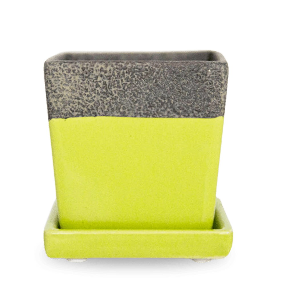 Duo Planter