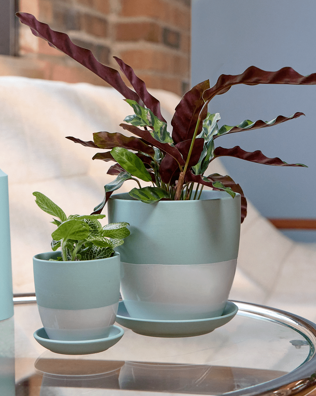 Dyad Porcelain Modern Indoor Plant Pot With Saucer - Chive Ceramics Studio - Pots - Chive US