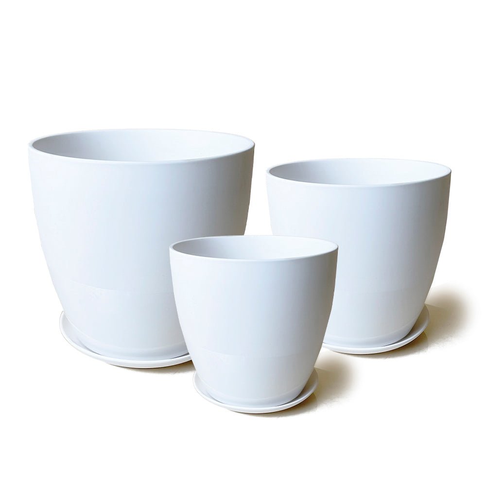 Dyad Porcelain Modern Indoor Plant Pot With Saucer | 6, 8 & 10 inches - Chive Ceramics Studio - Pots - Chive Ceramics Studio