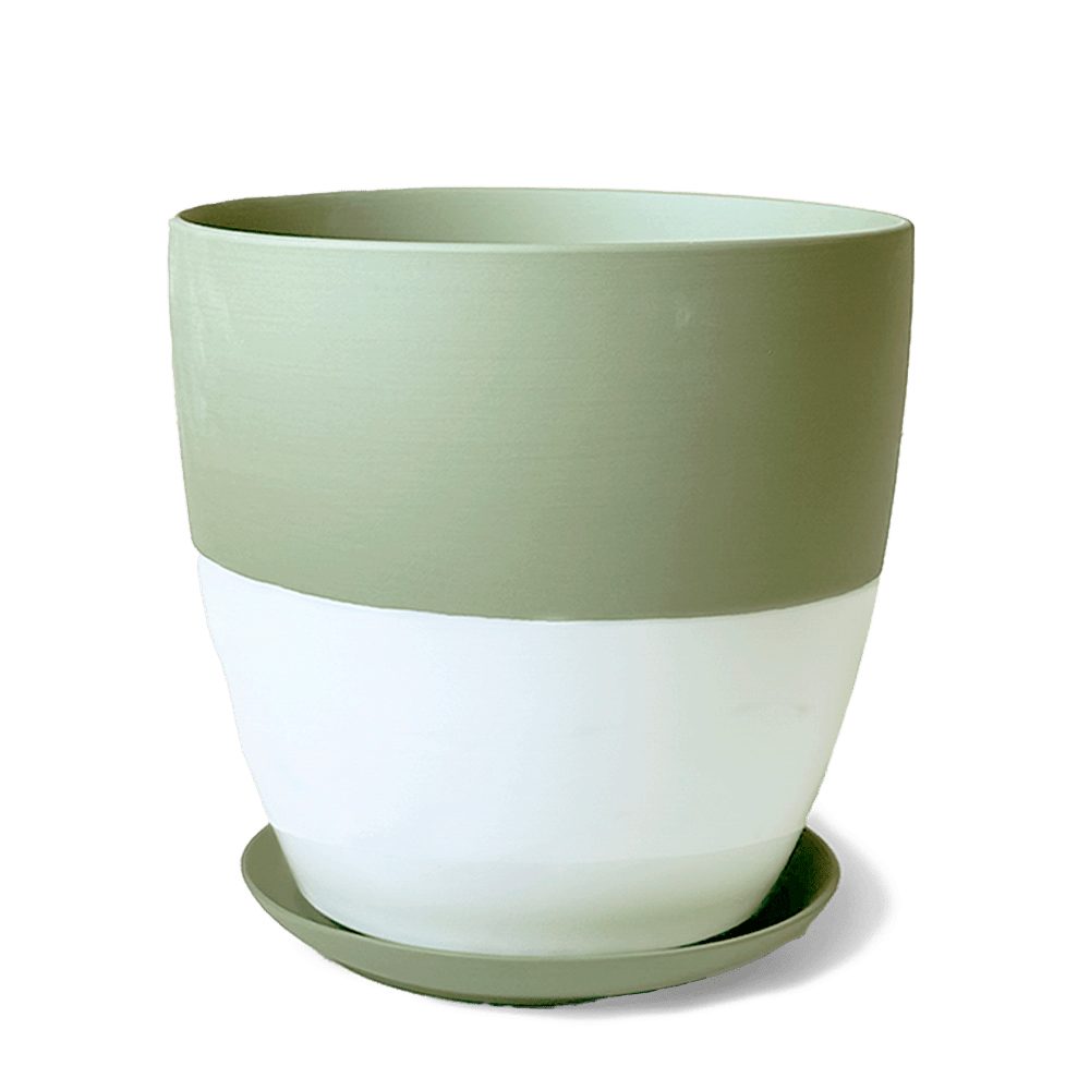 Dyad Porcelain Modern Indoor Plant Pot With Saucer - Chive Ceramics Studio - Pots - Chive US