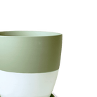 Dyad Porcelain Modern Indoor Plant Pot With Saucer | 3 & 5 inches - Chive Ceramics Studio - Pots - Chive Ceramics Studio