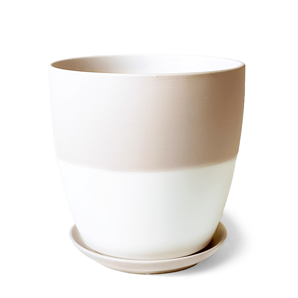 Dyad Porcelain Modern Indoor Plant Pot With Saucer - Chive Ceramics Studio - Pots - Chive US