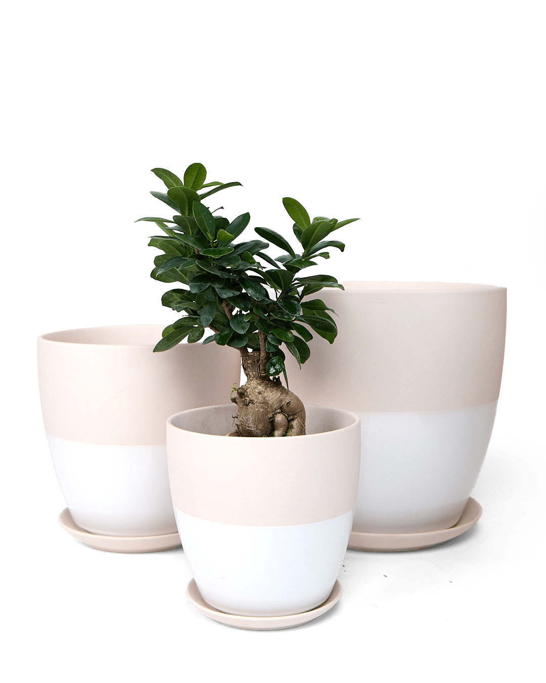 Dyad Porcelain Modern Indoor Plant Pot With Saucer - Chive Ceramics Studio - Pots - Chive US