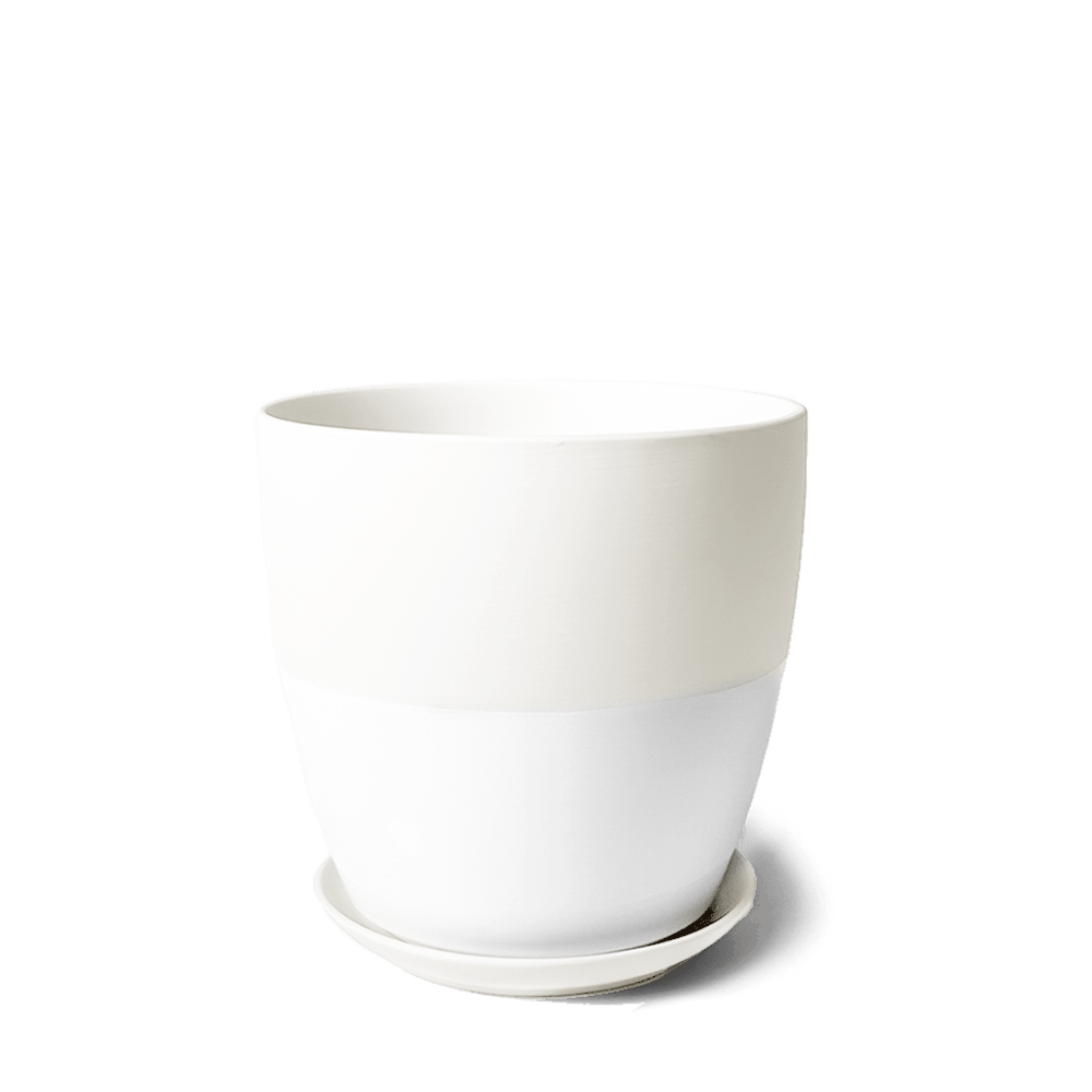 Dyad Porcelain Modern Indoor Plant Pot With Saucer | 3 & 5 inches - Chive Ceramics Studio - Pots - Chive Ceramics Studio