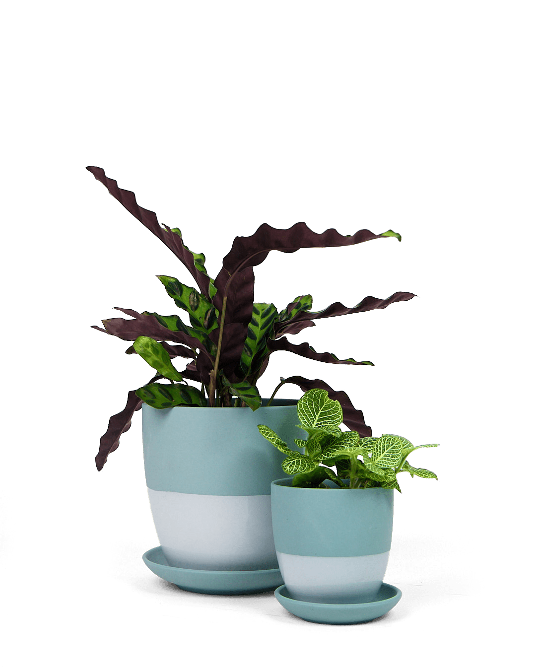 Dyad Porcelain Modern Indoor Plant Pot With Saucer - Chive Ceramics Studio - Pots - Chive US