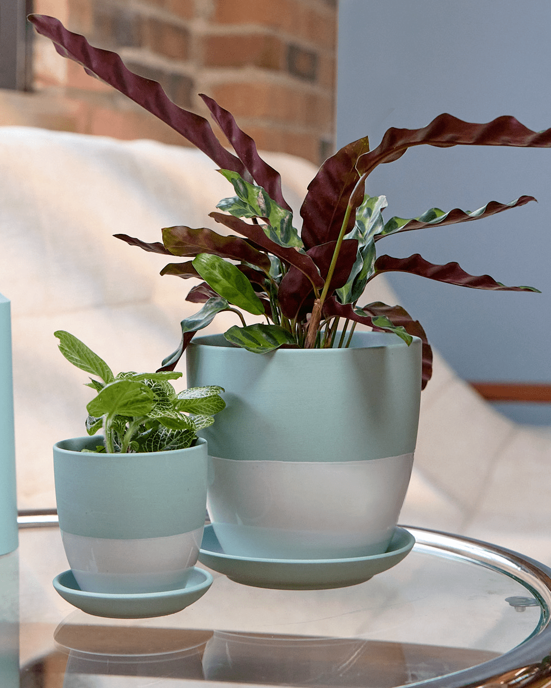 Dyad Porcelain Modern Indoor Plant Pot With Saucer - Chive Ceramics Studio - Pots - Chive US