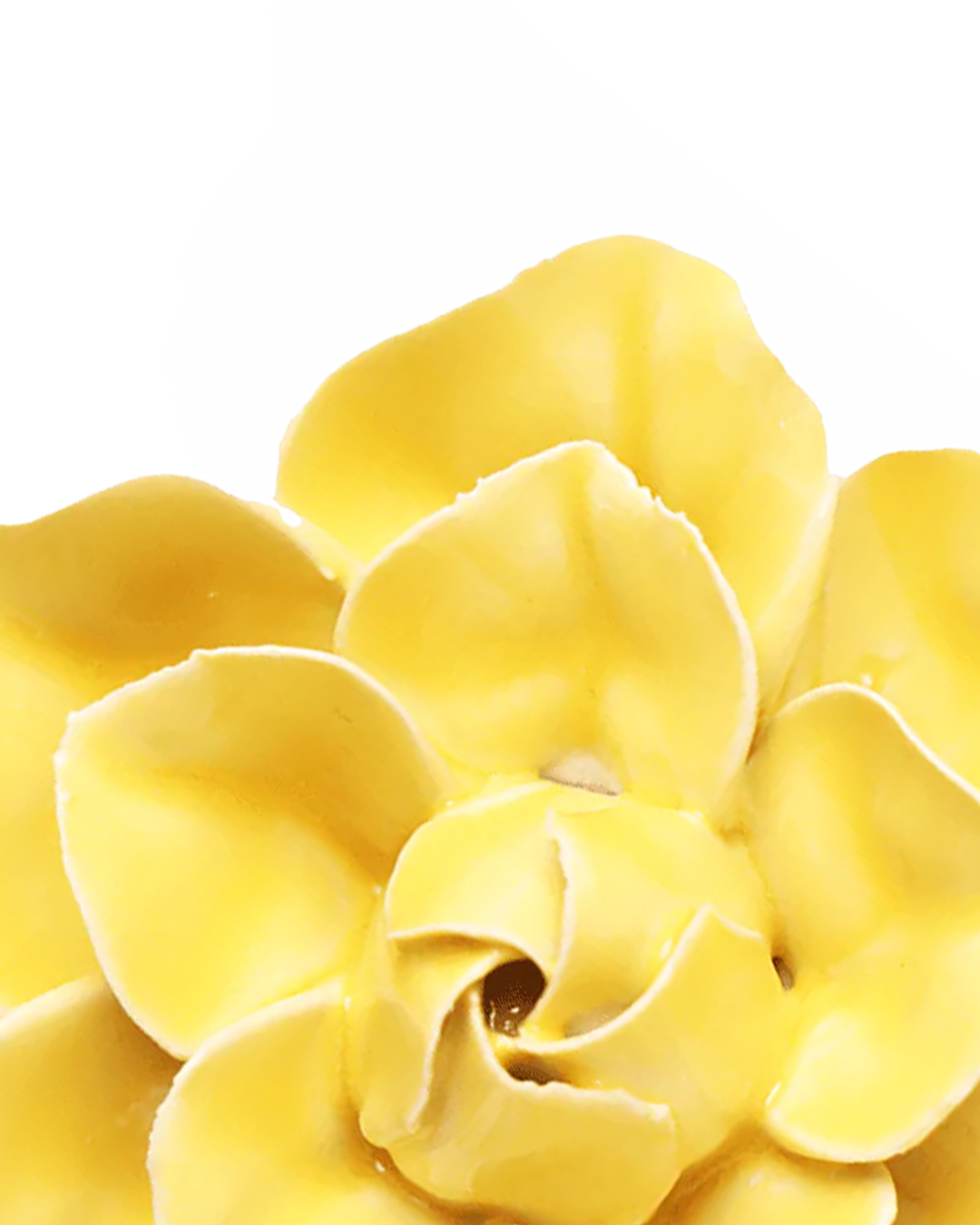 Close-up detail of handmade ceramic buttercup yellow daffodil flower petals individually shaped by artisan, Chive ceramics Toronto, no molds used