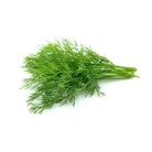 Fresh Cut Dill Bunch