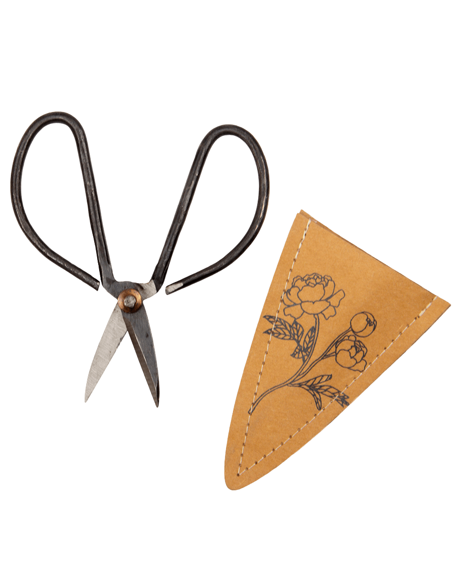 Edward Clippers Ikebana Pruning Scissors - Chive Ceramics Studio - Tools & Accessories - Chive Ceramics Studio