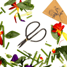 Edward Clippers Ikebana Pruning Scissors - Chive Ceramics Studio - Tools & Accessories - Chive Ceramics Studio