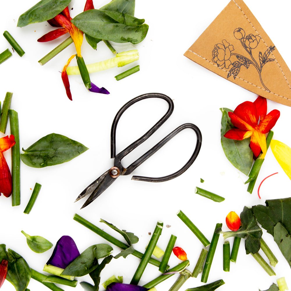 Edward Clippers Ikebana Pruning Scissors - Chive Ceramics Studio - Tools & Accessories - Chive Ceramics Studio