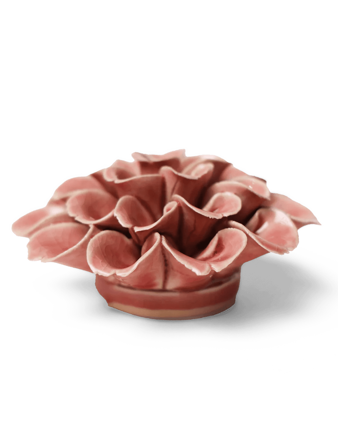 Champagne Pink Hydrangea ceramic wall flower — English Garden collection — designed in Toronto by Chive Studio