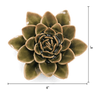 Olive Green Echeveria ceramic wall flower  — English Garden collection — designed in Toronto by Chive Studio
