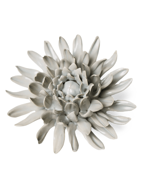 EG02-1_grande.png?v=1754468090