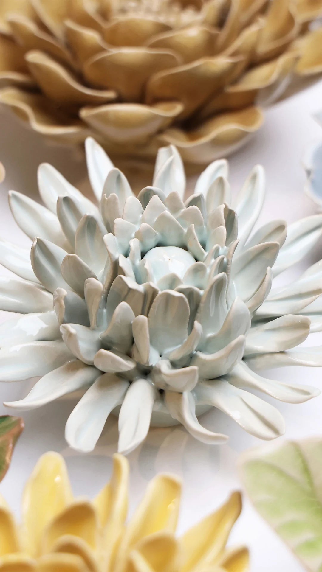 Panache Green Spider Mum ceramic wall flower styled on wall — English Garden — Chive Studio Toronto