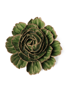EG05 Avocado Green Rozella Peony - Chive Ceramics Studio - Ceramic Flowers - Chive Ceramics Studio