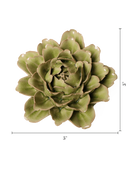 Peridot Peony ceramic wall flower  — English Garden collection — designed in Toronto by Chive Studio