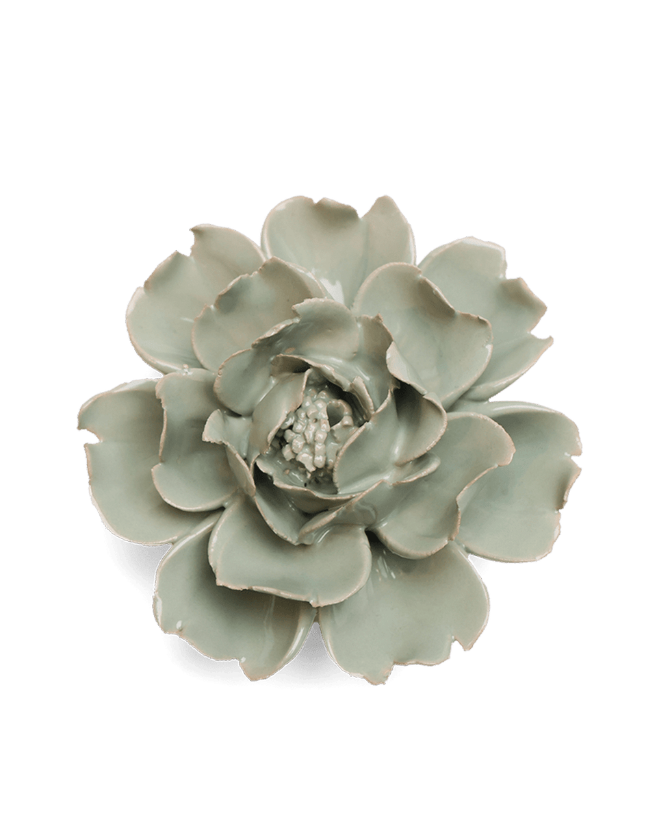 EG09-1_1200x1200.png?v=1776368320