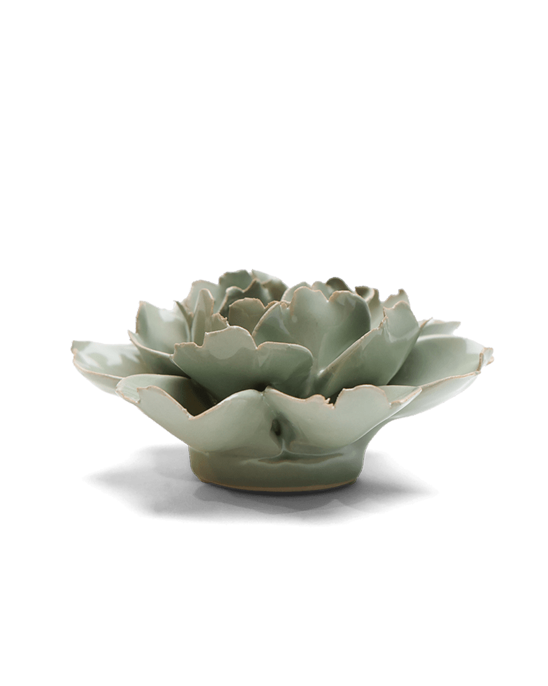 Pistachio Green Rose ceramic wall flower — English Garden collection — designed in Toronto by Chive Studio