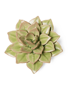 EG10 Peridot Green Fairy Echeveria - Chive Ceramics Studio - Ceramic Flowers - Chive Ceramics Studio