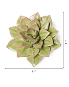 Peridot Echeveria ceramic wall flower  — English Garden collection — designed in Toronto by Chive Studio