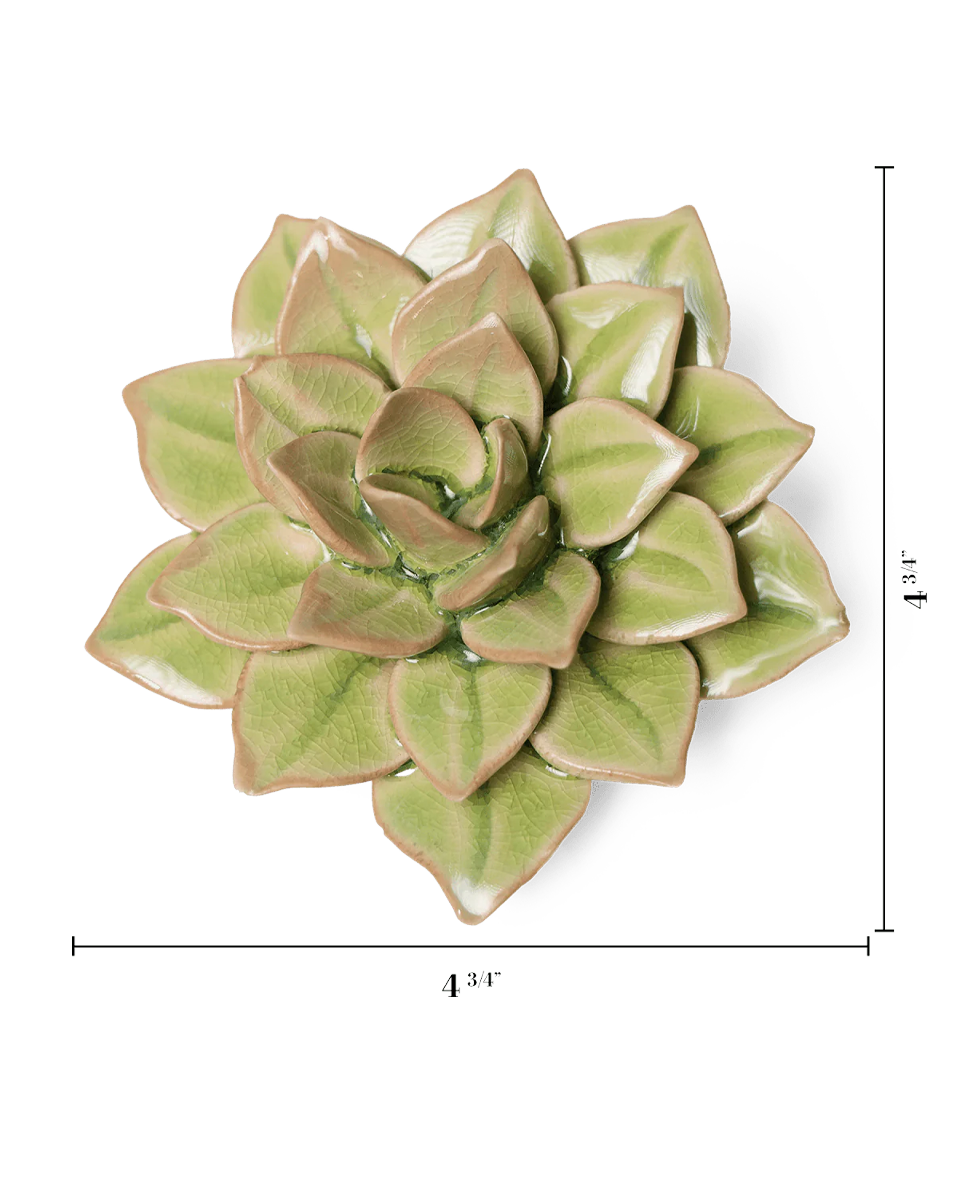 Peridot Echeveria ceramic wall flower  — English Garden collection — designed in Toronto by Chive Studio