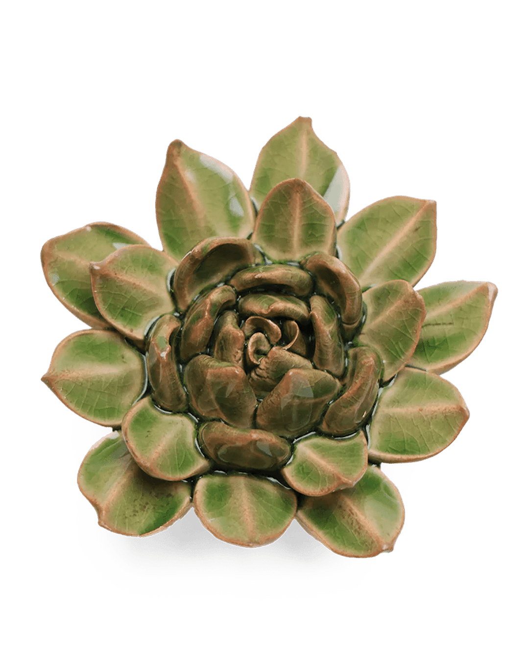 EG12 Avocado Green Firecracker Succulent - Chive Ceramics Studio - Ceramic Flowers - Chive Ceramics Studio