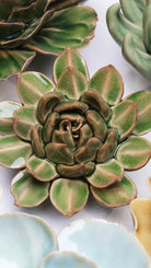 Avocado Green Firecracker Succulent ceramic wall flower styled on a white table with other flowers — Chive Studio