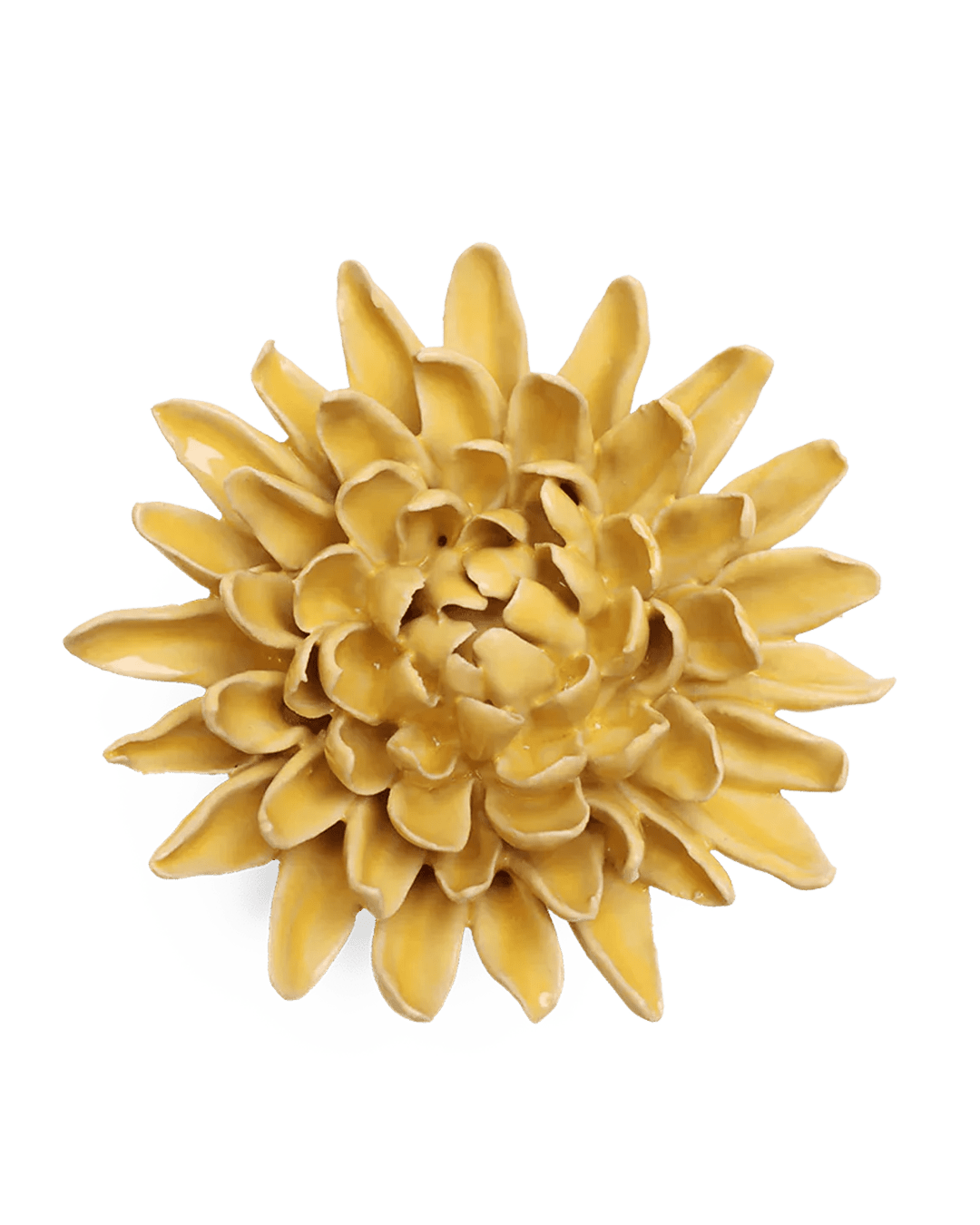 Buttercup Yellow Chrysanthemum ceramic wall flower  — English Garden collection — designed in Toronto by Chive Studio