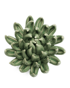 Green Succulent ceramic wall flower  — English Garden collection — designed in Toronto by Chive Studio
