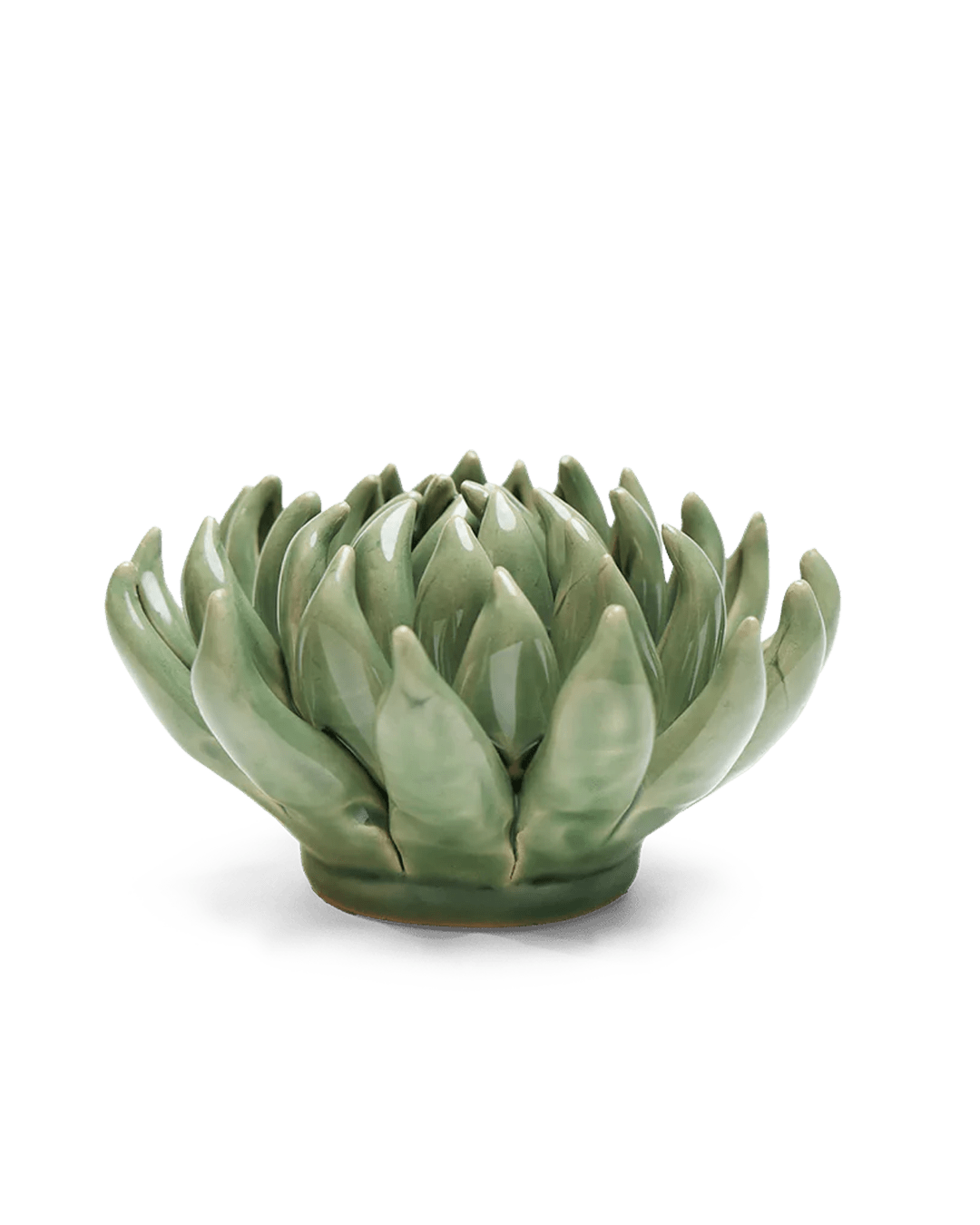 Green Succulent ceramic wall flower  — English Garden collection — designed in Toronto by Chive Studio