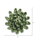 Green Succulent ceramic wall flower  — English Garden collection — designed in Toronto by Chive Studio