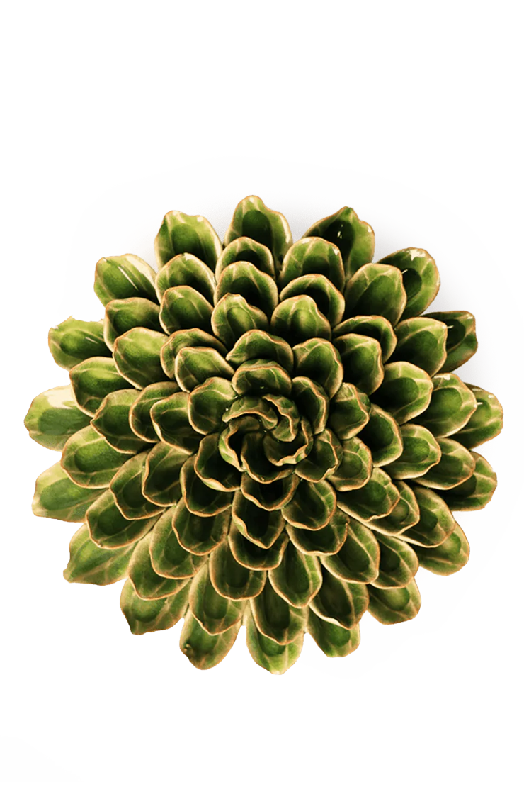 Avocado Green Zinnia ceramic wall flower   — English Garden collection — designed in Toronto by Chive Studio